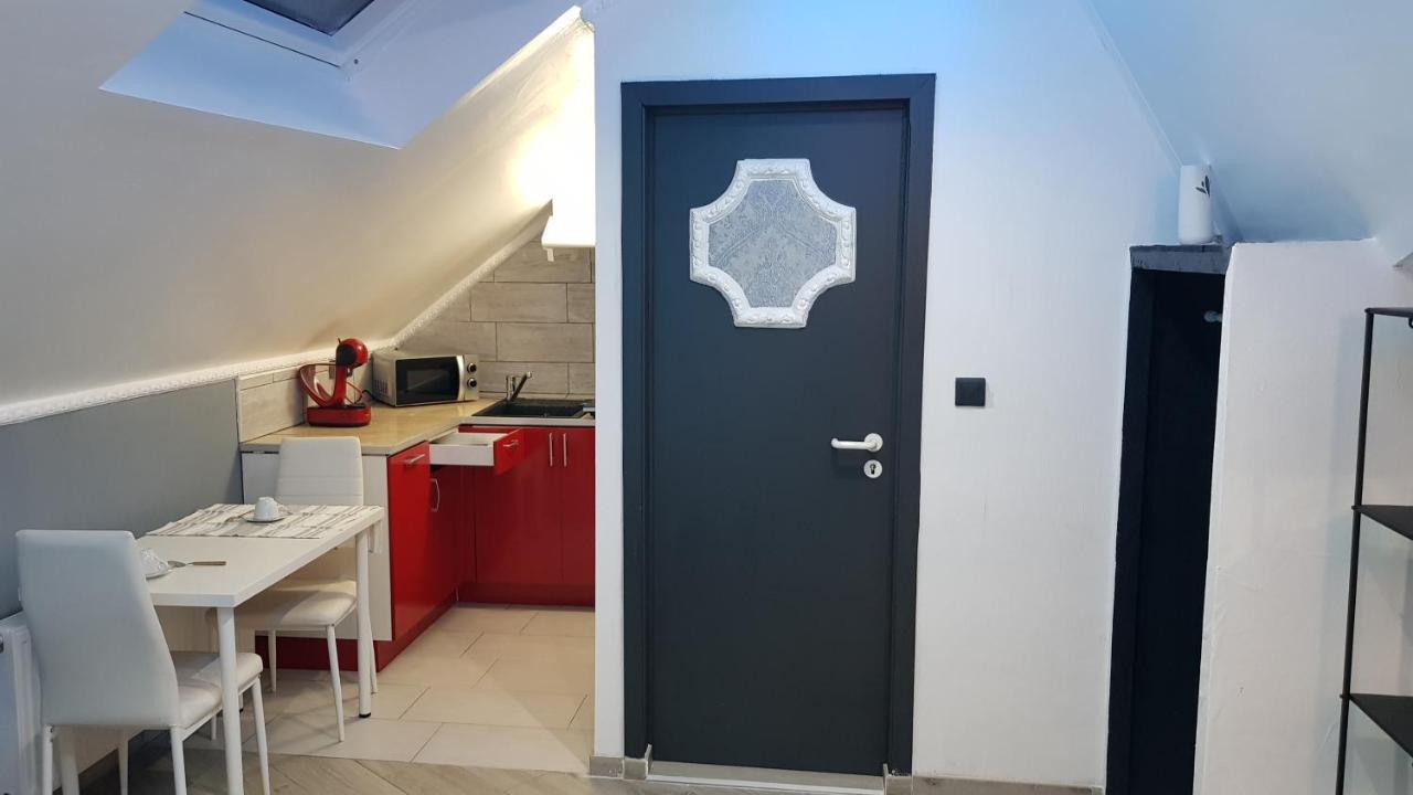 Le Petit Luxembourg Apartment Montignies-sur-Sambre Екстериор снимка
